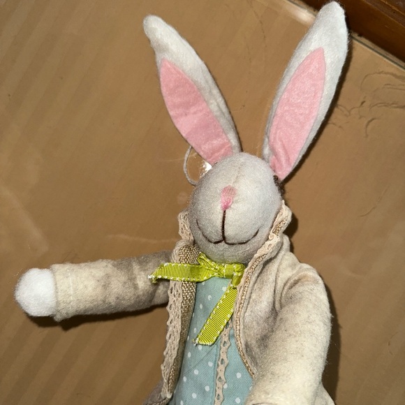 Felted Wool Mr. Bunny Rabbit 🐰💐 - Picture 3 of 5